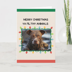 Muddy Brown Dog Funny Christmas Kaart