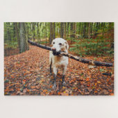 Muddy Dog in herfst Natuur Legpuzzel (Horizontaal)