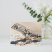 Muddy Lizard Briefkaart (Staand voorkant)