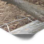 Muddy Pig Poster Funny (Hoek)