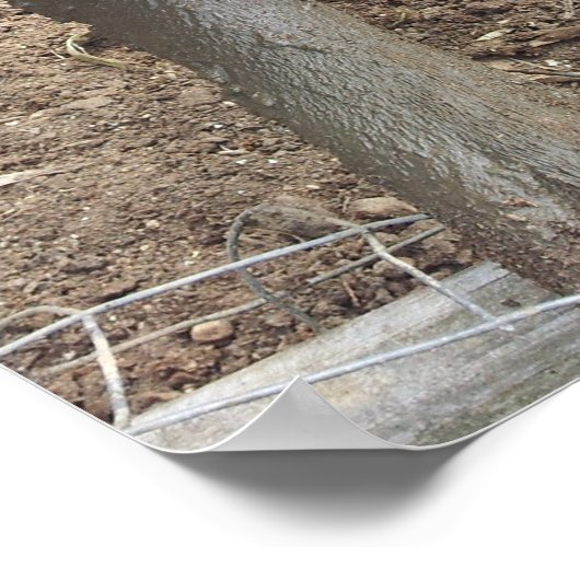 Muddy Pig Poster Funny (Hoek)