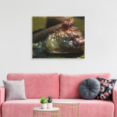 Mudskipper Amphibious Fish Oxudercinae Canvas Afdruk (Insitu (Woonkamer))