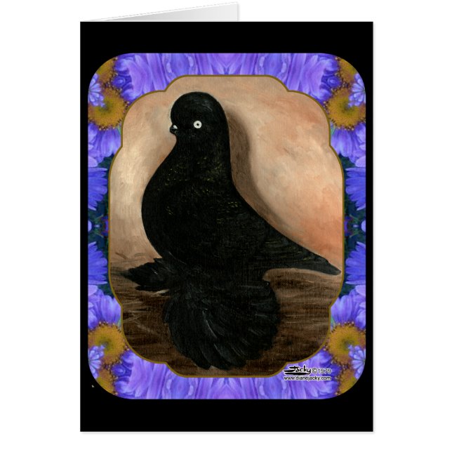 Muffed Tumbler Pigeon Framed (Voorkant)