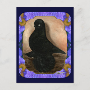 Muffed Tumbler Pigeon Framed Briefkaart