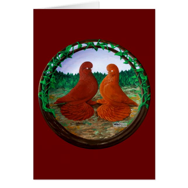 Muffed Tumbler Pigeons2 (Voorkant)