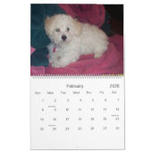Muffie Agenda 2007 Kalender (Feb 2026)