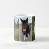 Muffin, Maggie en Banjo Mok (Center)