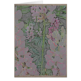 Mufliers roses