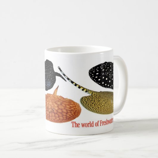 MUG アマゾン淡水エイ (Devant droit)