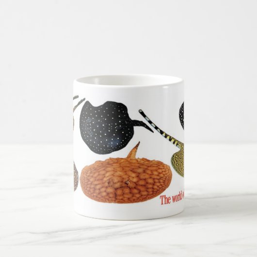 MUG アマゾン淡水エイ (Centre)