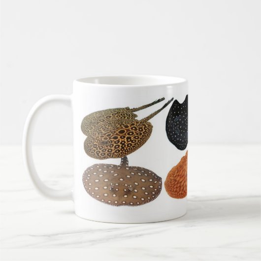 MUG アマゾン淡水エイ (Gauche)