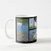 MUG ク (Gauche)