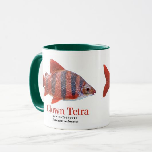 MUG ショート・ノーズ・クラウン・テトラ (Devant gauche)