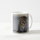 MUG スコティッシュフォールド子猫　マグカップ (Devant droit)