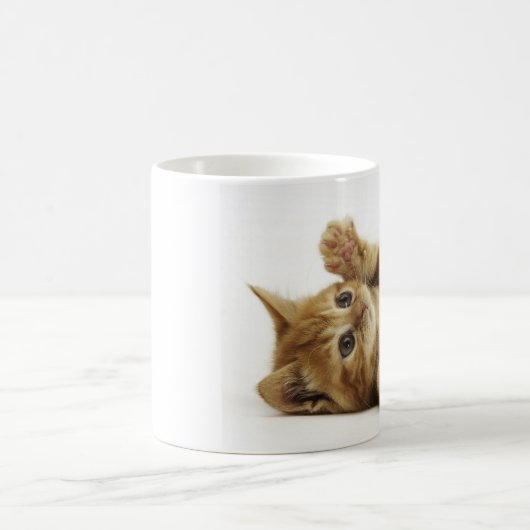 MUG マルチカン子猫　マグカップ (Centre)