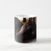 MUG ミニチュアピンシャー (Centre)