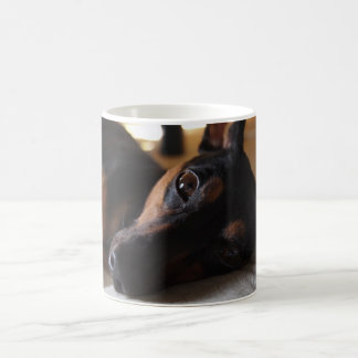 MUG ミニチュアピンシャー