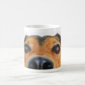 MUG 犬 (Centre)