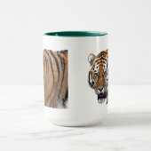 MUG 虎 (Centre)