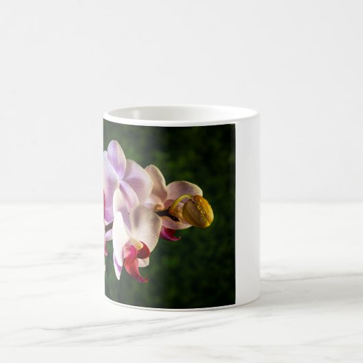 Mug 0834-Orchidées Roses (Centre)