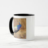 MUG 0 3 (Devant gauche)