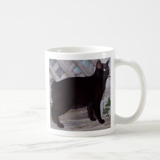 MUG 100_0621 (Droite)