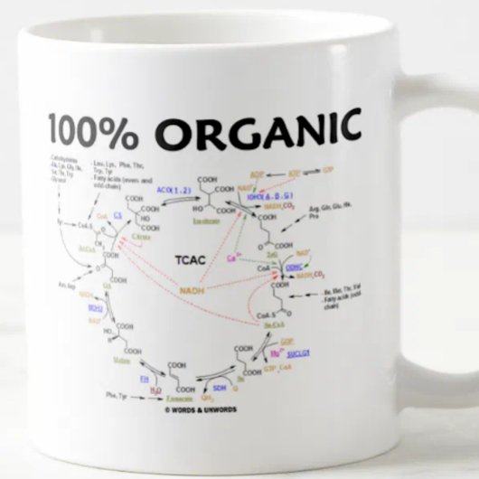 Mug 100% organique (Cycle Citrique Acide - Cycle Krebs