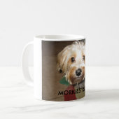 MUG 14 AVRIL. 2008 043, RÈGLE DE MORKIES ! (Devant gauche)