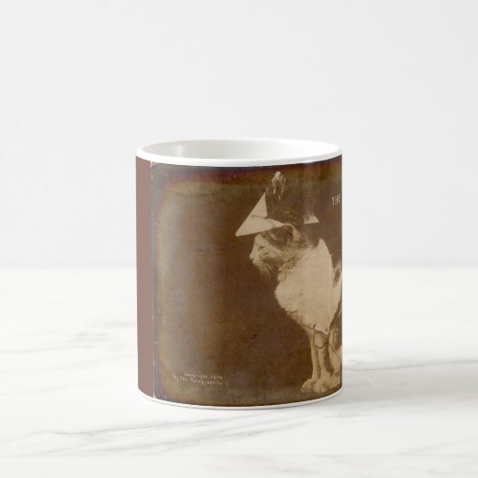 Mug 1906 L'officier commandant habillé chat RPPC (Centre)