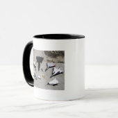 Mug 1997 Flotte d'aéronefs de recherche Dryden sur la  (Devant gauche)