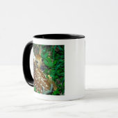 MUG 24114390 (Devant gauche)