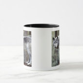MUG 24114488 (Centre)