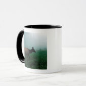 MUG 24121885 (Devant gauche)