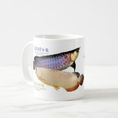 Mug 3 Asian Arowanas (Devant gauche)