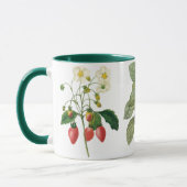 Mug 3 Différents fruits botaniques Vintages par Redout (Gauche)