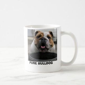 MUG 4-11-06 043, BOULEDOGUE PUR