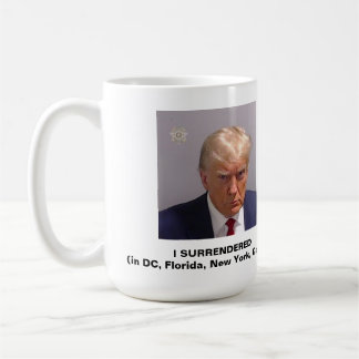 Mug 91 Felonies