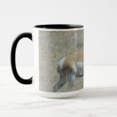 Mug A25 Pronghorn Antelope Young Buck (Gauche)