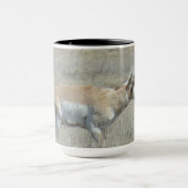 Mug A25 Pronghorn Antelope Young Buck (Centre)