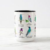 Mug à café à deux tons pour colibris d'Amérique du (Centre)