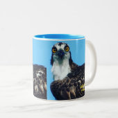 Mug à café de Birder / Coupe - Balbuzard - Oiseau  (Devant droit)