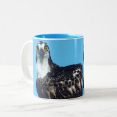 Mug à café de Birder / Coupe - Balbuzard - Oiseau  (Devant gauche)