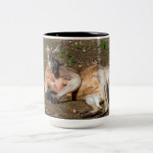 Mug à deux tons, 444 ml (Centre)