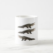 Mug A est pour American Alligator (Centre)