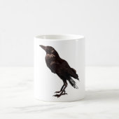 Mug A est pour American Crow (Centre)