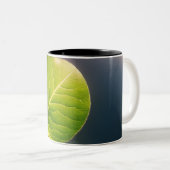 Mug à feuilles rêvées (Devant droit)