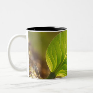 Mug à feuilles rêvées