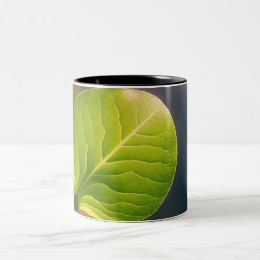 Mug à feuilles rêvées (Centre)