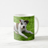 Mug À l'os de pitbull de chiot (Devant droit)