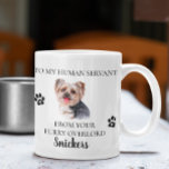 Mug À mon serviteur humain Funny Chig cadeau Yorkie<br><div class="desc">Cette conception peut être personnalisée dans la zone fournie en modifiant la photo et/ou le texte. Vous pouvez également le customiser en cliquant sur Personnaliser ce Modèle, puis en choisissant l'option cliquer pour customiser et supprimer ou modifier la couleur de l'arrière - plan, ajouter du texte, modifier la couleur ou...</div>